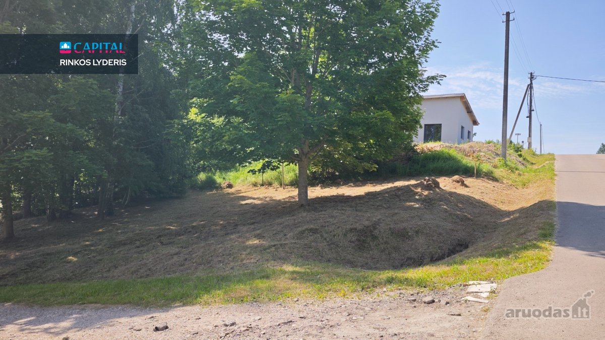 Kampinis 6 arų sklypas Brinkiškėse – brandūs - nuotraukos Nr. 9