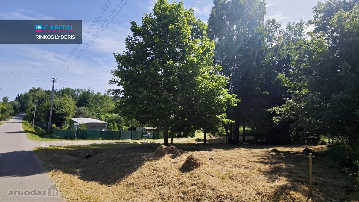Kampinis 6 arų sklypas Brinkiškėse – brandūs - nuotraukos Nr. 10