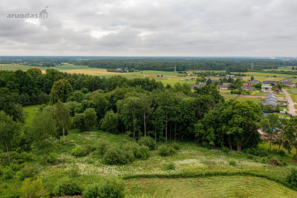 Parduodamas 185,59 arų investicinis sklypas - nuotraukos Nr. 5