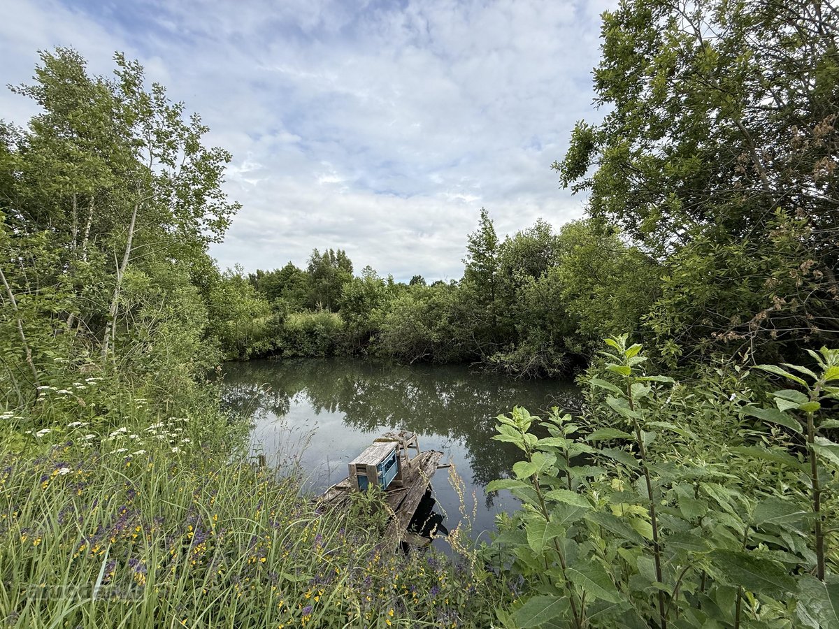 Parduodama Išskirtinė 6,9 Ha Gamtos Valda - nuotraukos Nr. 3