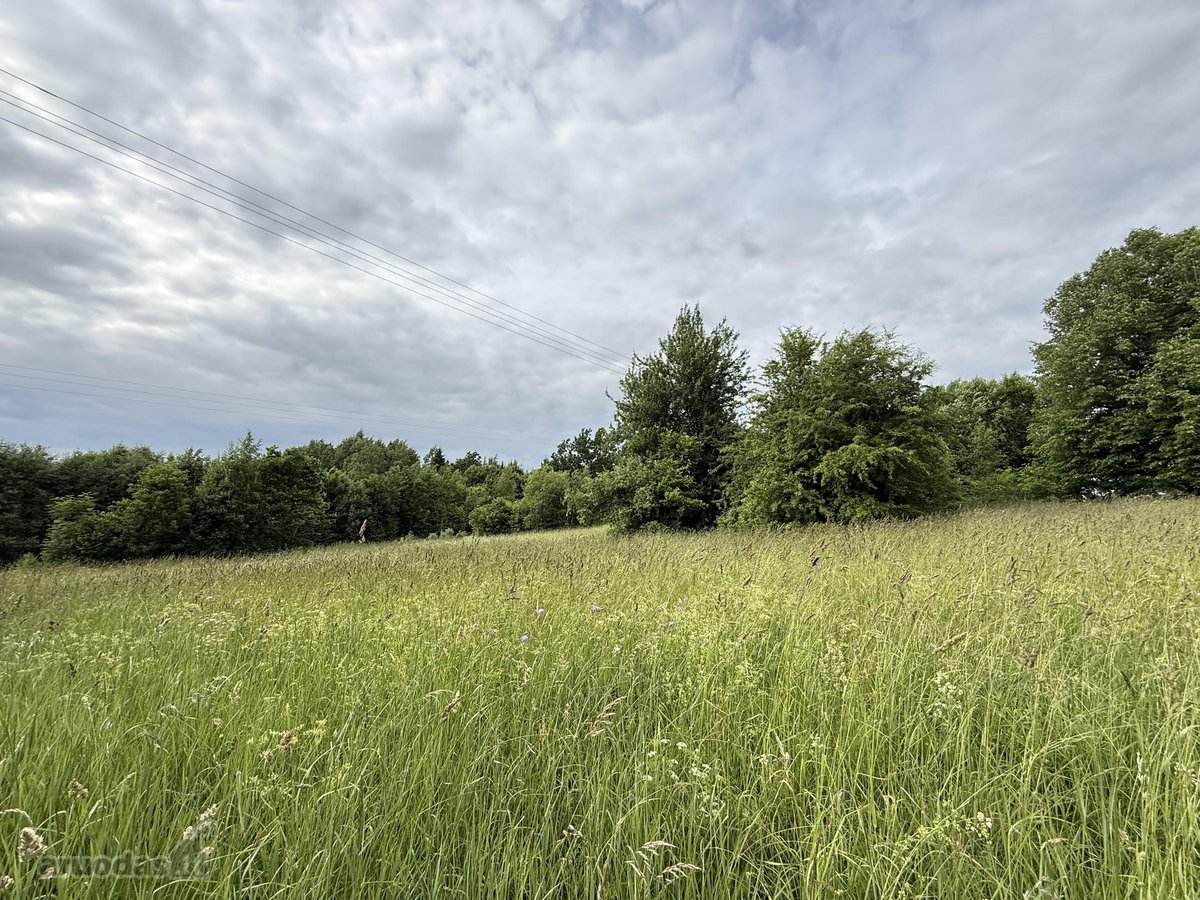 Parduodama Išskirtinė 6,9 Ha Gamtos Valda - nuotraukos Nr. 6