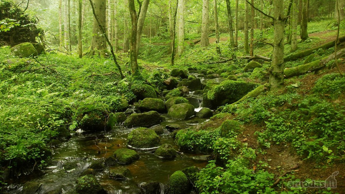 Parduodama Išskirtinė 6,9 Ha Gamtos Valda - nuotraukos Nr. 14