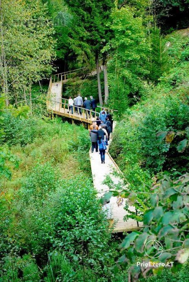 Parduodama Išskirtinė 6,9 Ha Gamtos Valda - nuotraukos Nr. 16