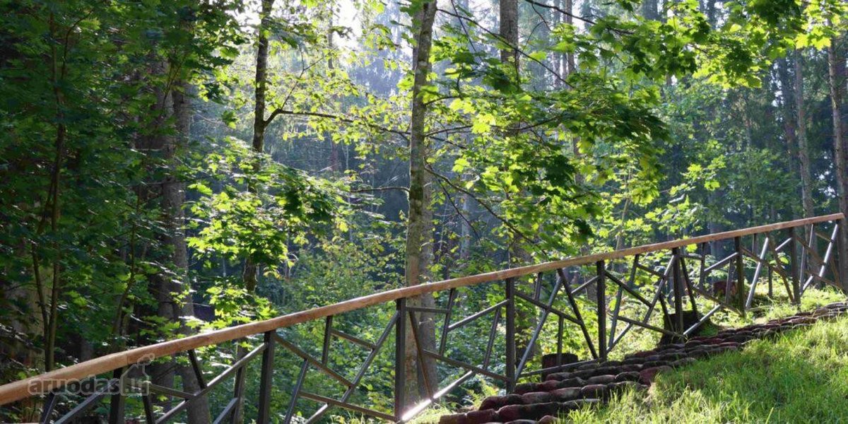 Parduodama Išskirtinė 6,9 Ha Gamtos Valda - nuotraukos Nr. 20