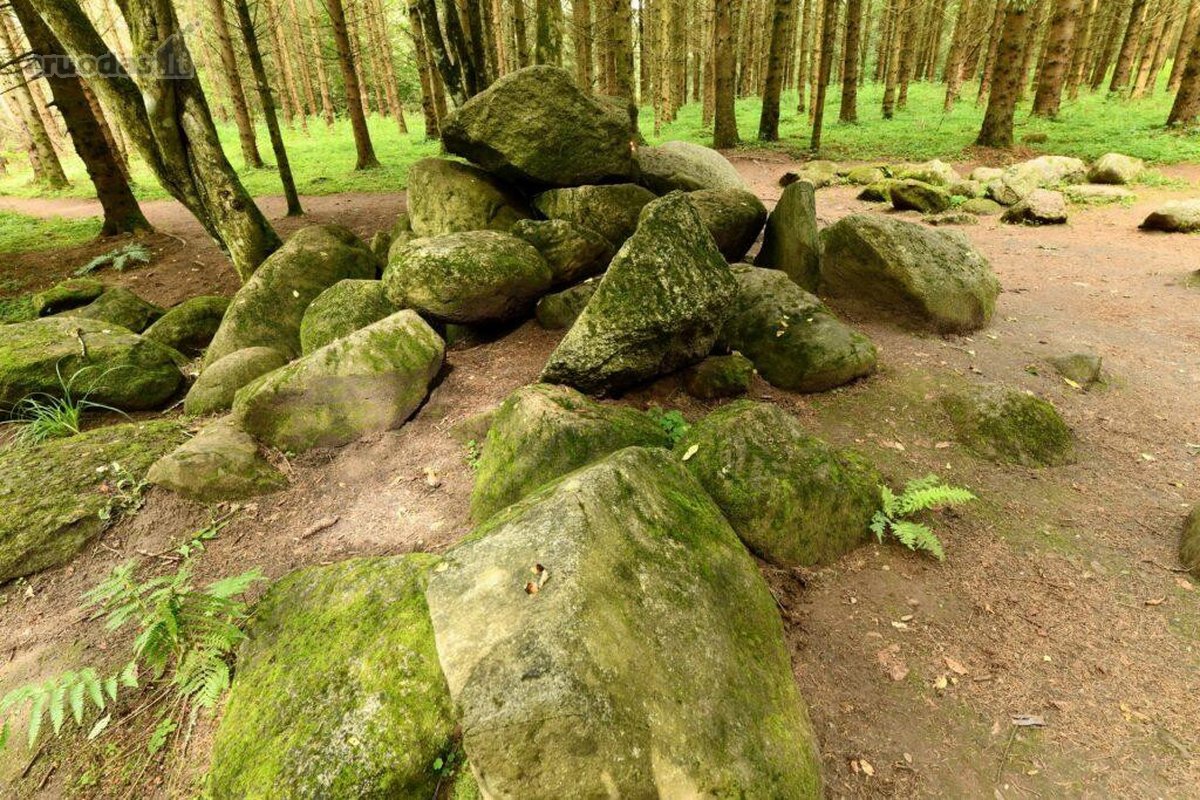 Parduodama Išskirtinė 6,9 Ha Gamtos Valda - nuotraukos Nr. 22