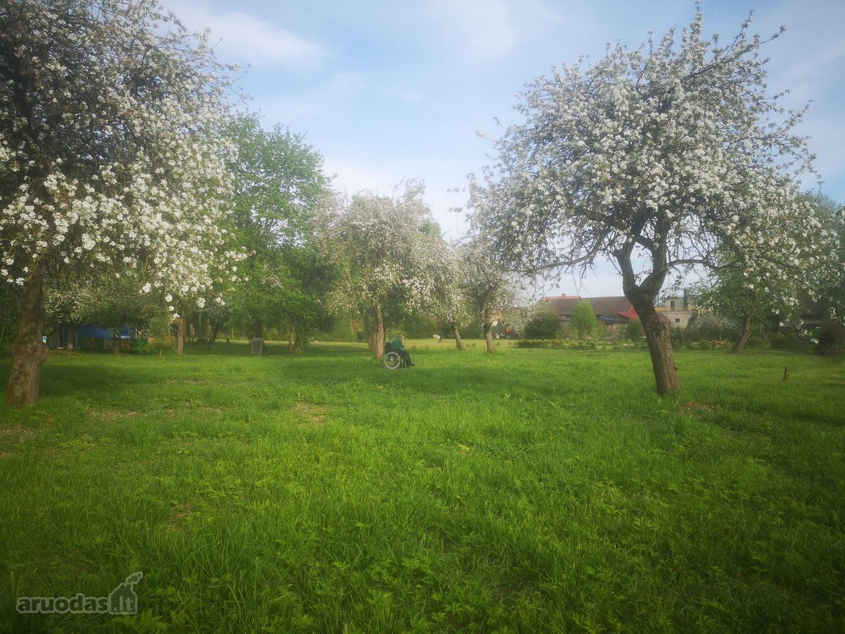 Skirsnemunėje parduodamas dviejų aukštų - nuotraukos Nr. 50