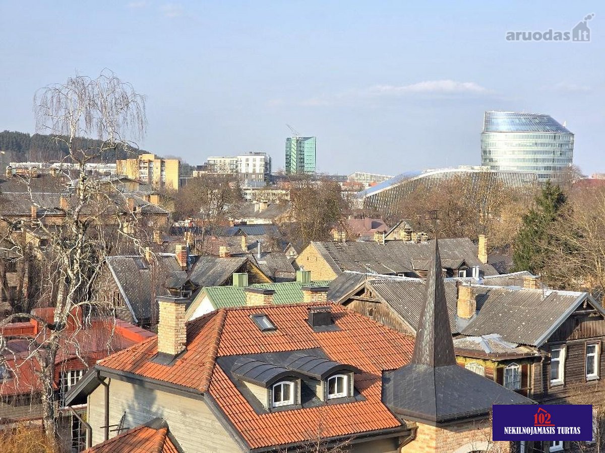 Nuomojamas Erdvus, Aukštomis Lubomis 3