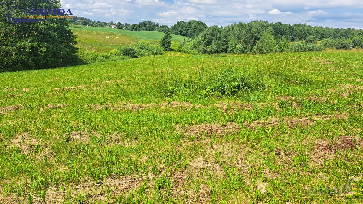 Parduodama sodyba - vienkiemis, vos 500m. iki - nuotraukos Nr. 26