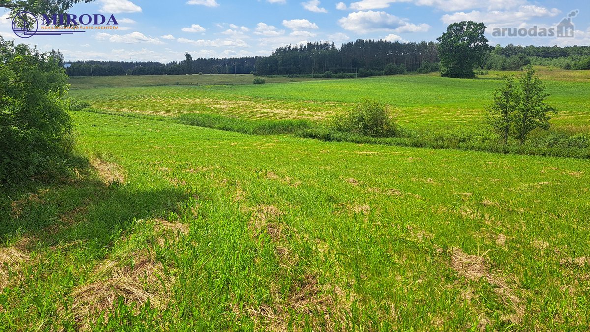 Parduodama sodyba - vienkiemis, vos 500m. iki - nuotraukos Nr. 27