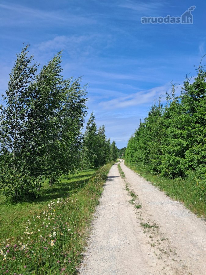 Parduodamas perspektyvioje vietoje šalia - nuotraukos Nr. 2
