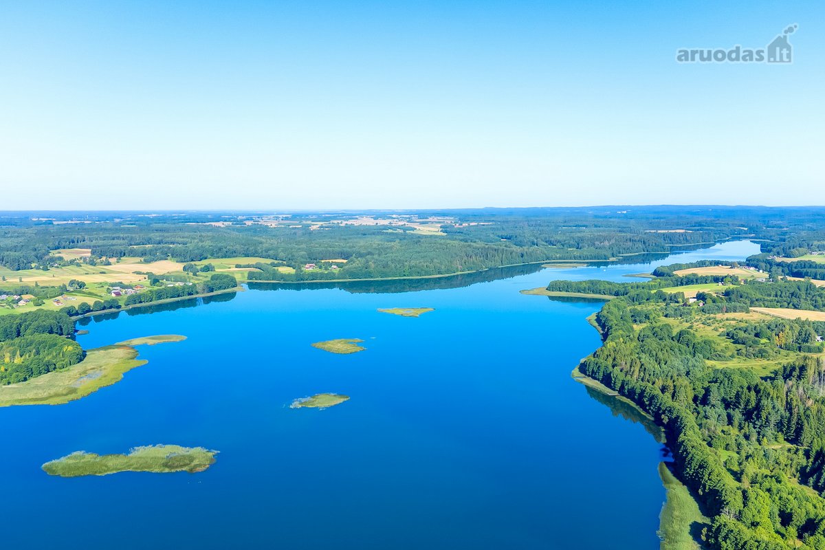 Parduodamas 5,9680 Ha Žemės Ūkio Paskirties - nuotraukos Nr. 4