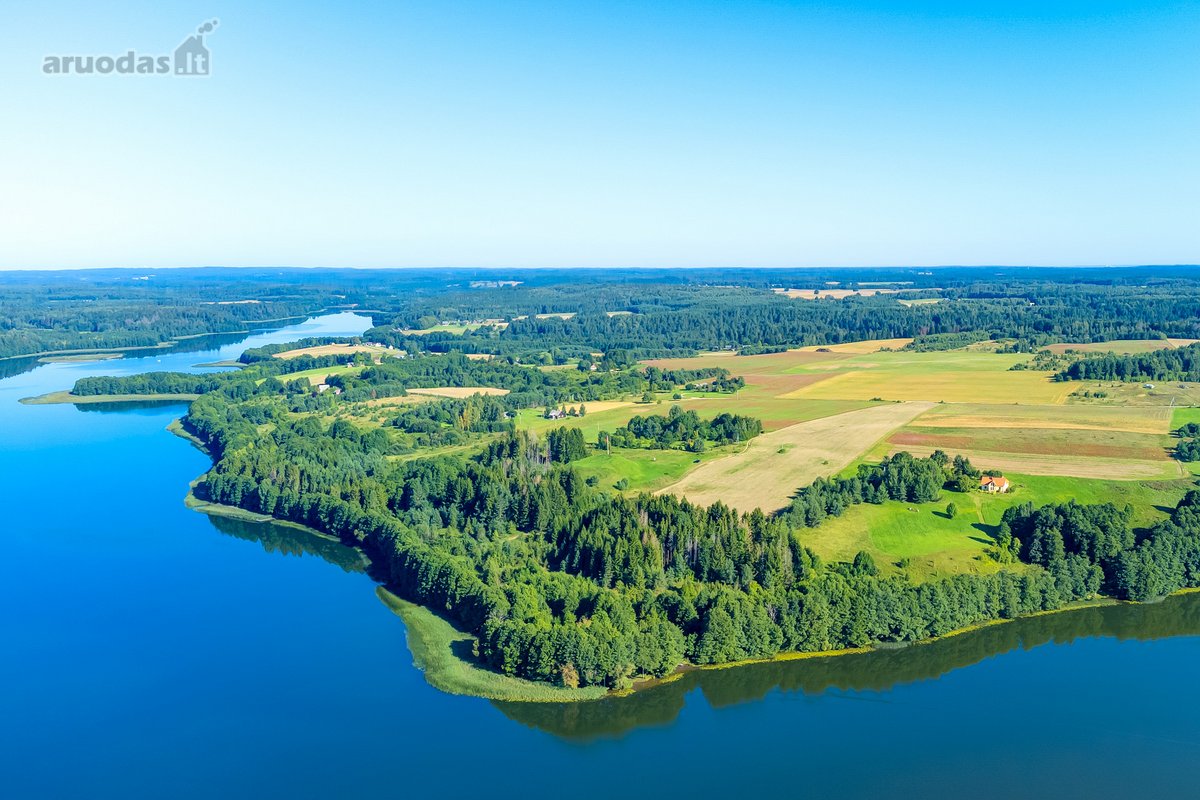 Parduodamas 5,9680 Ha Žemės Ūkio Paskirties - nuotraukos Nr. 5
