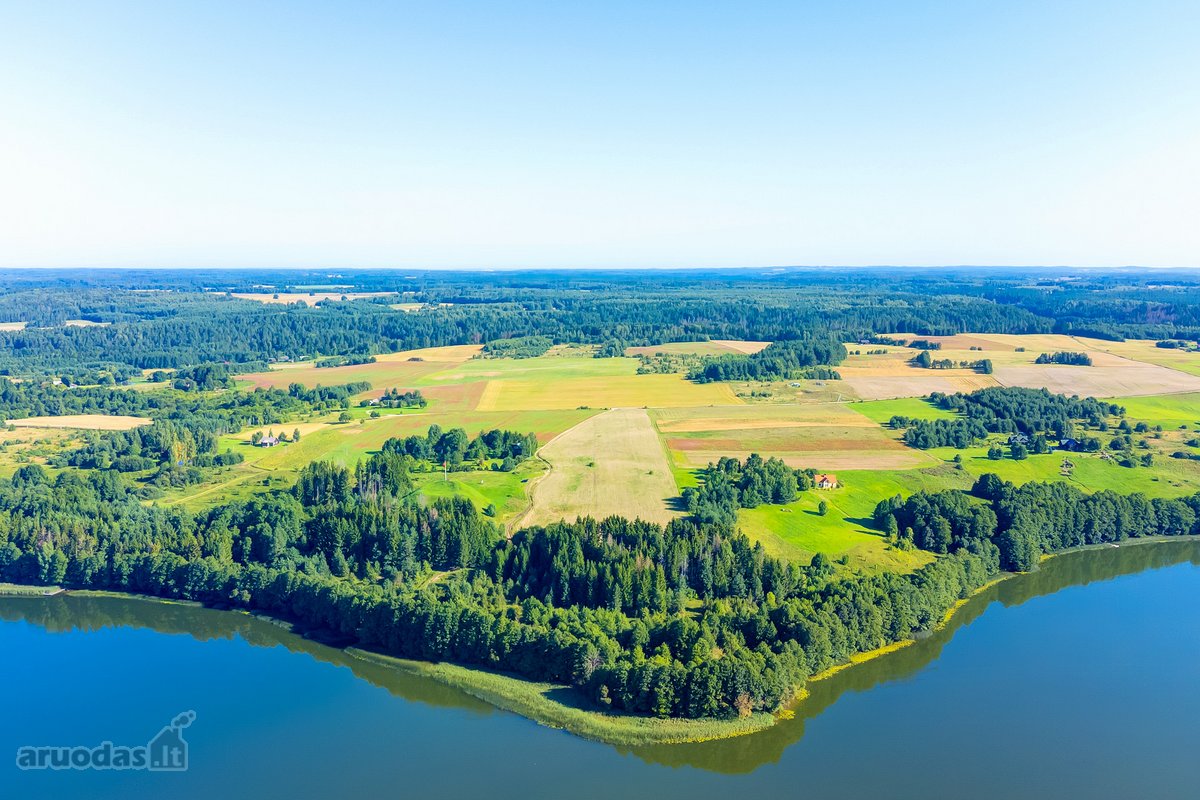 Parduodamas 5,9680 Ha Žemės Ūkio Paskirties - nuotraukos Nr. 6
