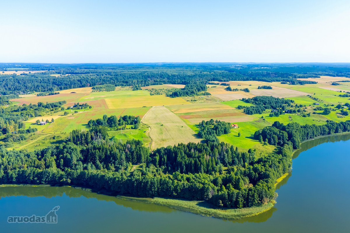 Parduodamas 5,9680 Ha Žemės Ūkio Paskirties - nuotraukos Nr. 7
