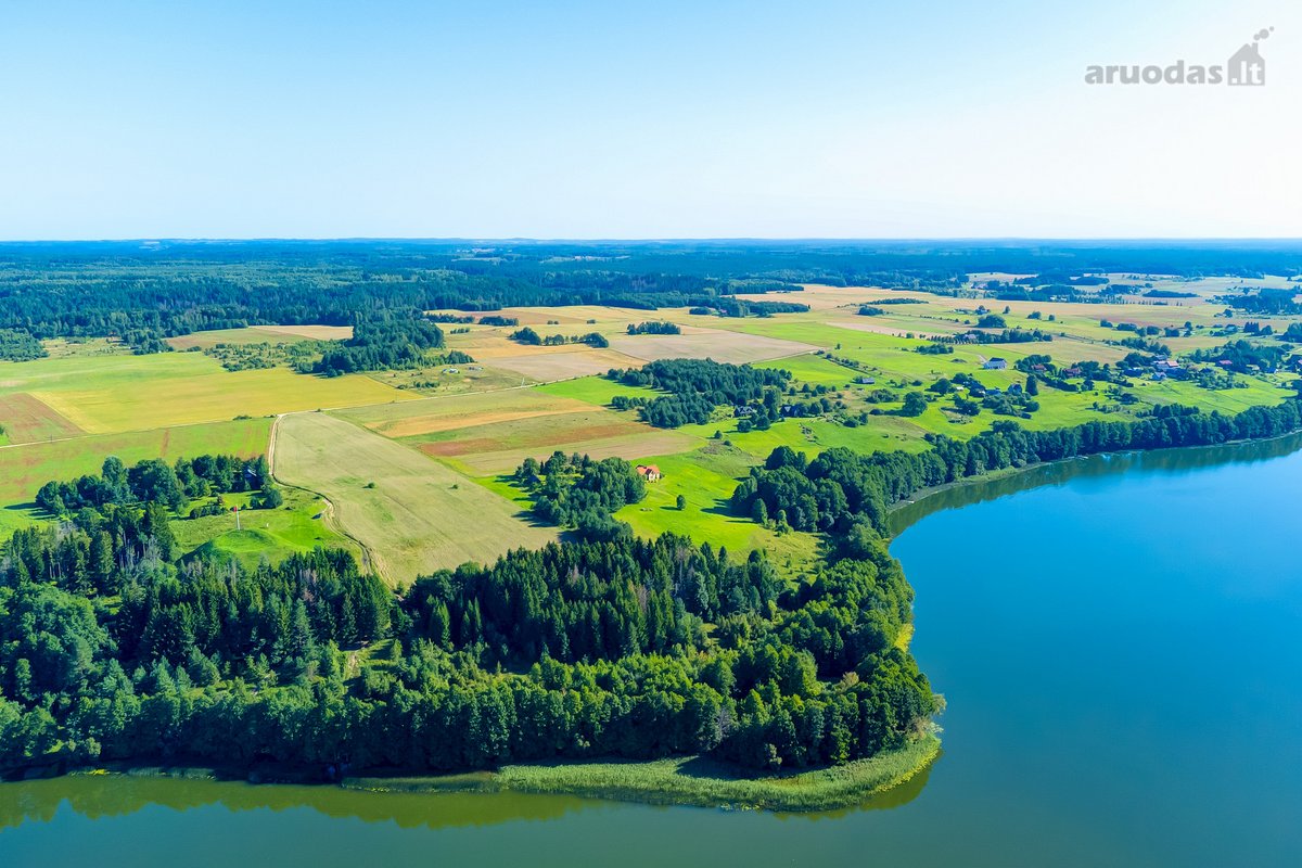 Parduodamas 5,9680 Ha Žemės Ūkio Paskirties - nuotraukos Nr. 8