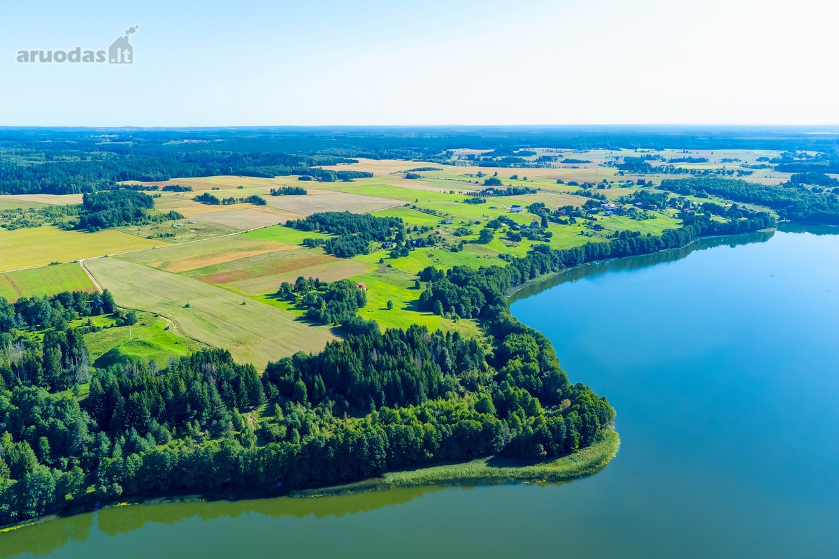 Parduodamas 5,9680 Ha Žemės Ūkio Paskirties - nuotraukos Nr. 9