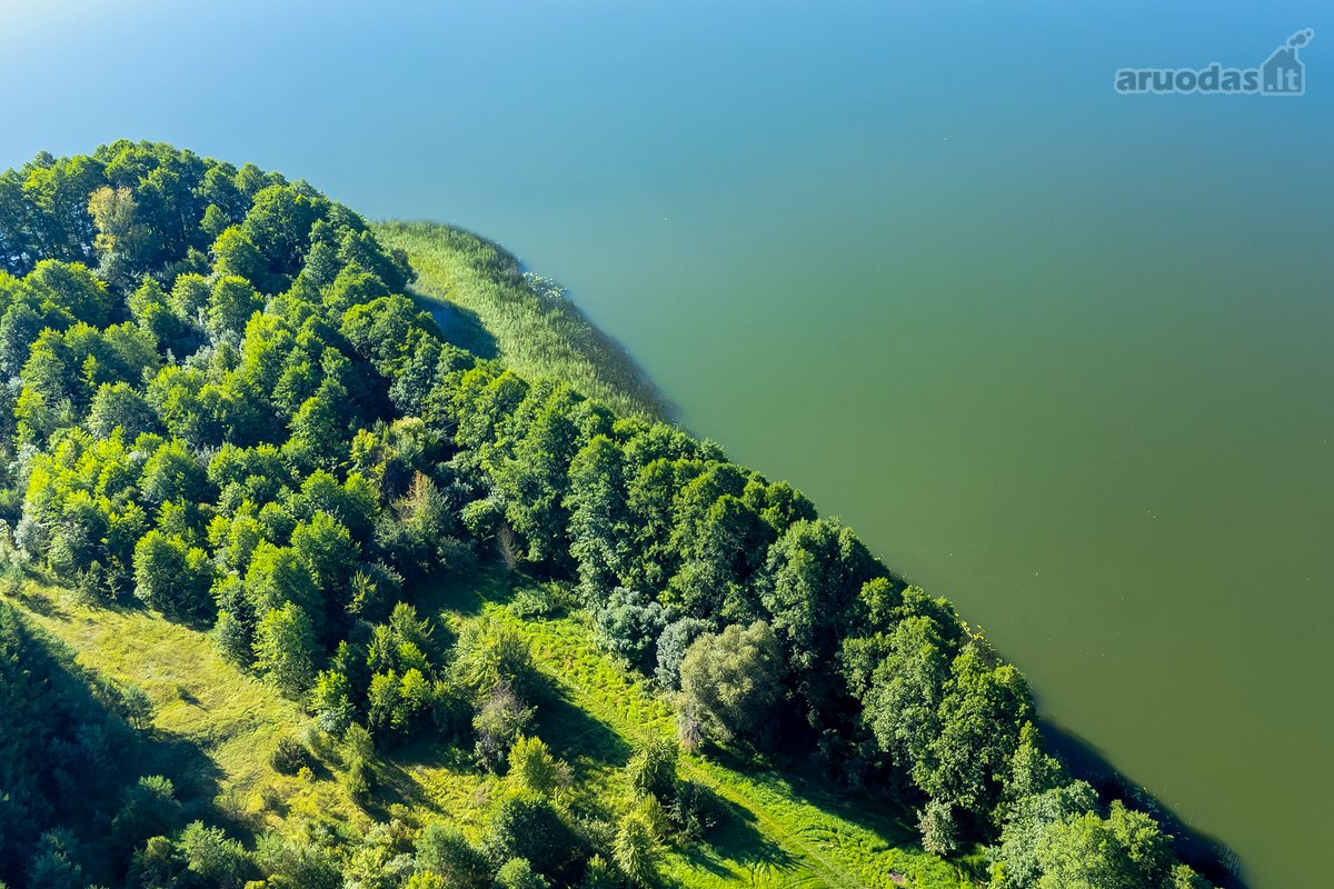 Parduodamas 5,9680 Ha Žemės Ūkio Paskirties - nuotraukos Nr. 18