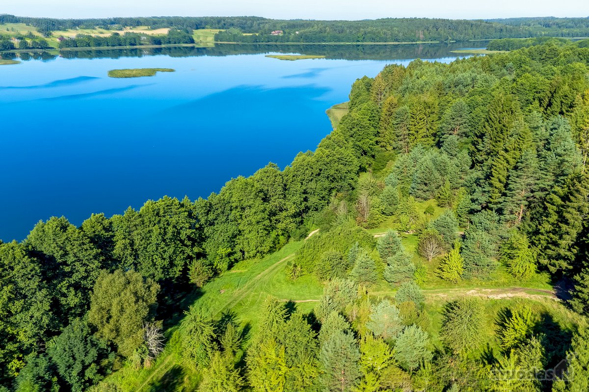 Parduodamas 5,9680 Ha Žemės Ūkio Paskirties - nuotraukos Nr. 21