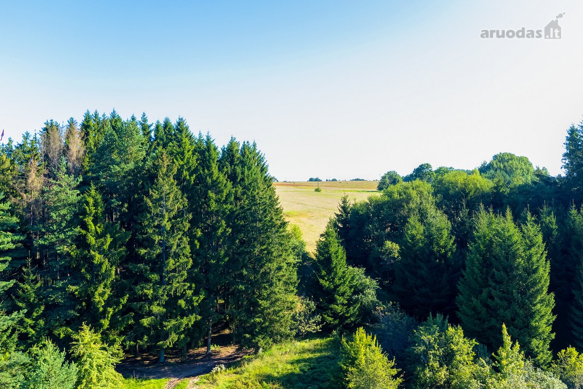 Parduodamas 5,9680 Ha Žemės Ūkio Paskirties - nuotraukos Nr. 22