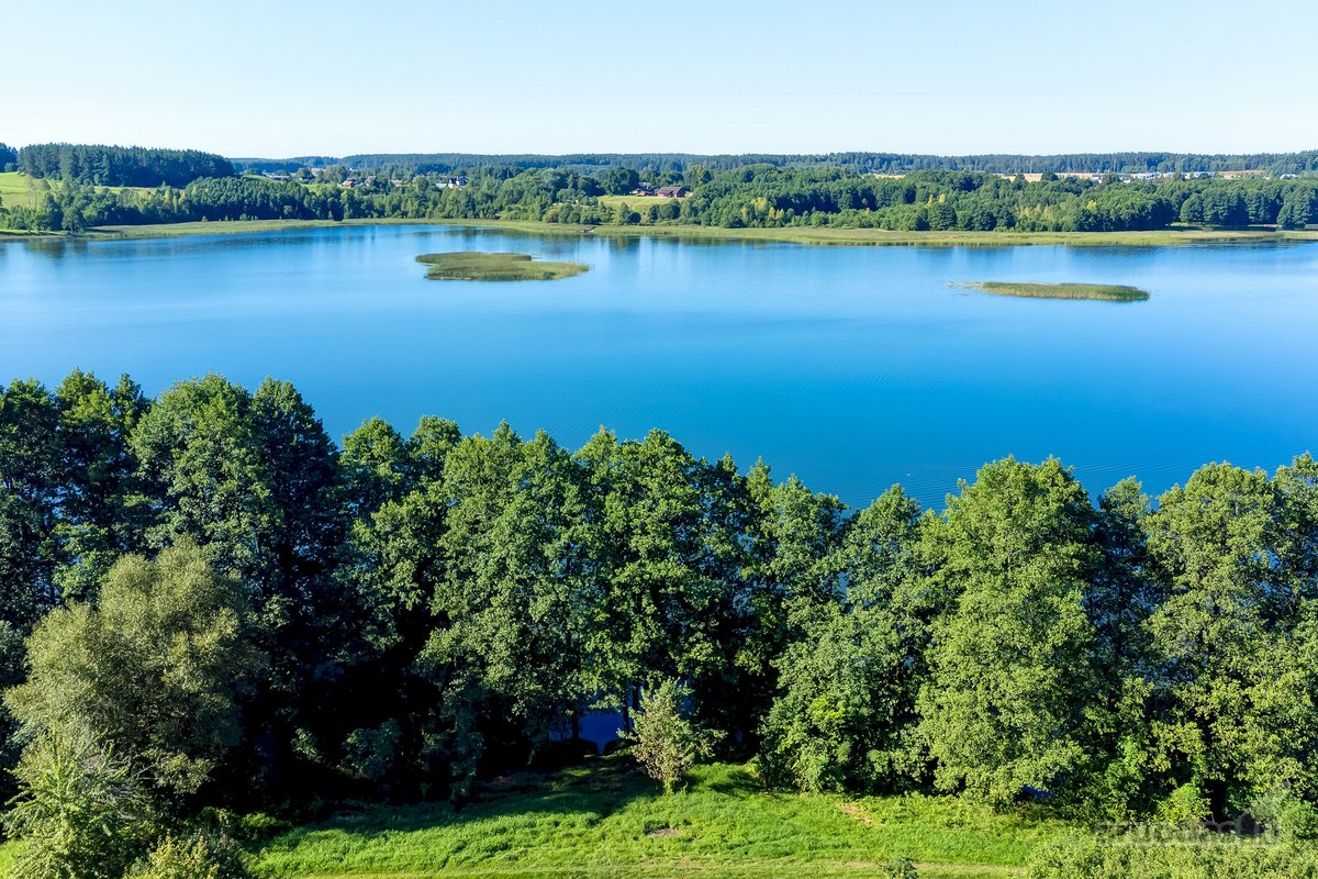 Parduodamas 5,9680 Ha Žemės Ūkio Paskirties - nuotraukos Nr. 25