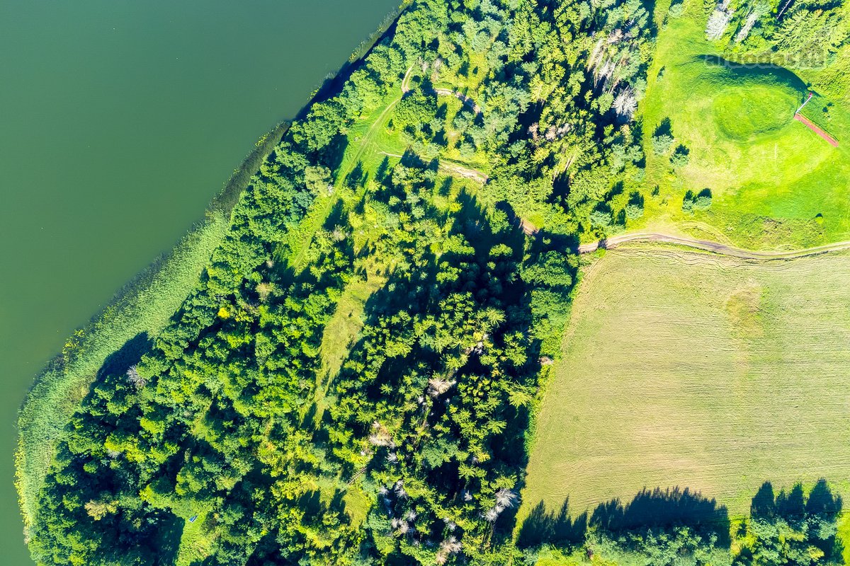 Parduodamas 5,9680 Ha Žemės Ūkio Paskirties - nuotraukos Nr. 26