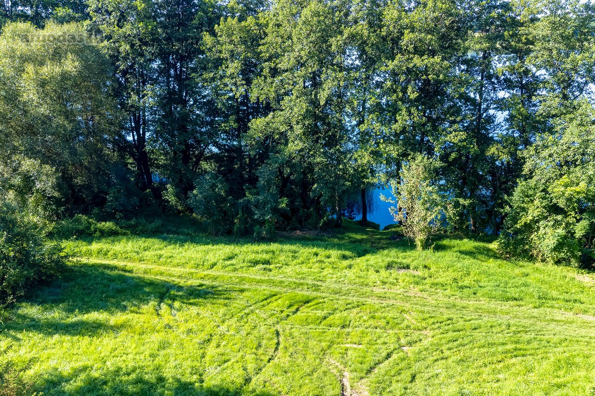Parduodamas 5,9680 Ha Žemės Ūkio Paskirties - nuotraukos Nr. 24