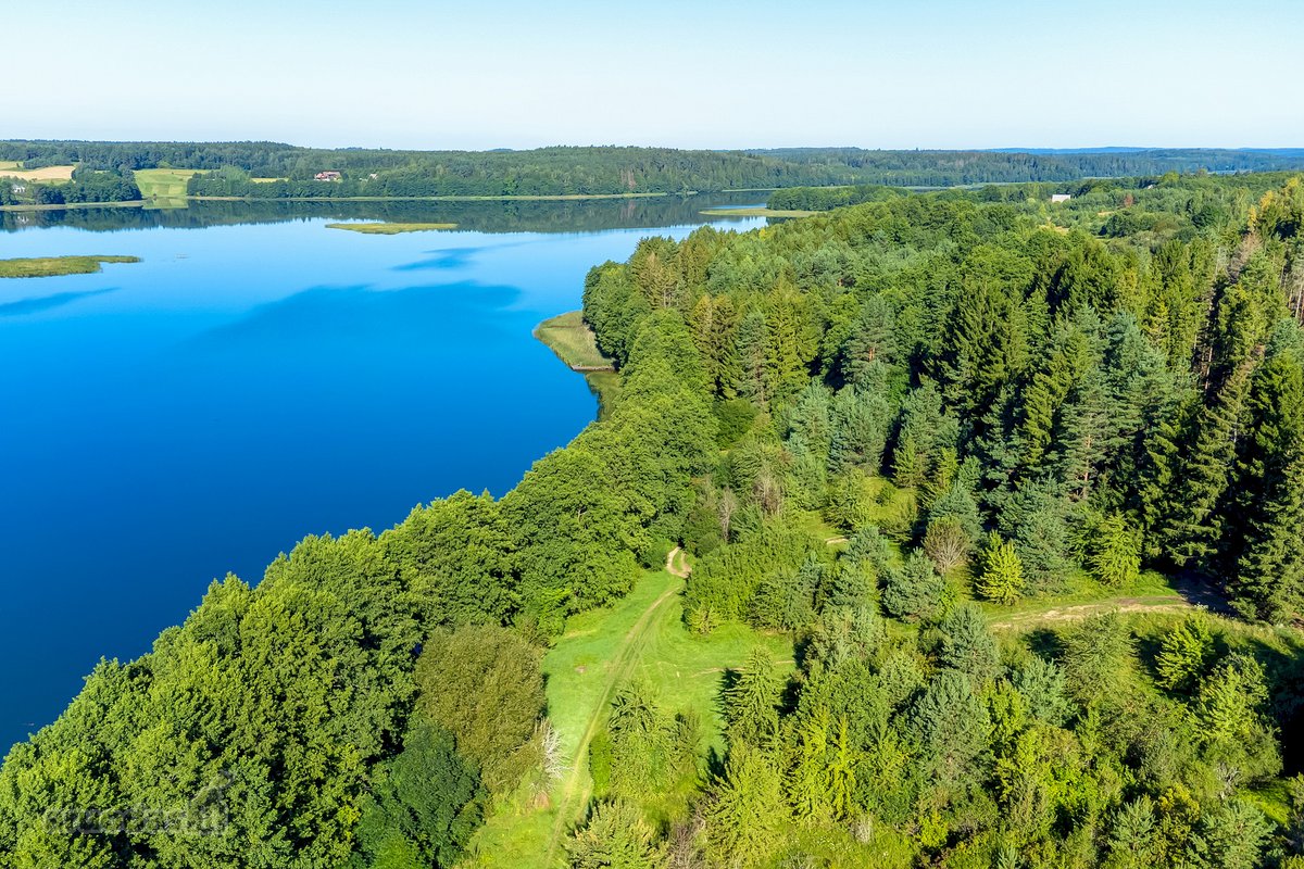 Parduodamas 5,9680 Ha Žemės Ūkio Paskirties - nuotraukos Nr. 20