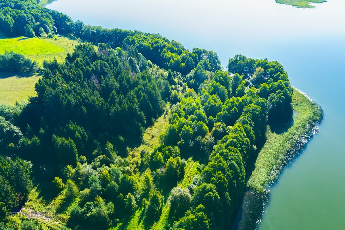 Parduodamas 5,9680 Ha Žemės Ūkio Paskirties - nuotraukos Nr. 17