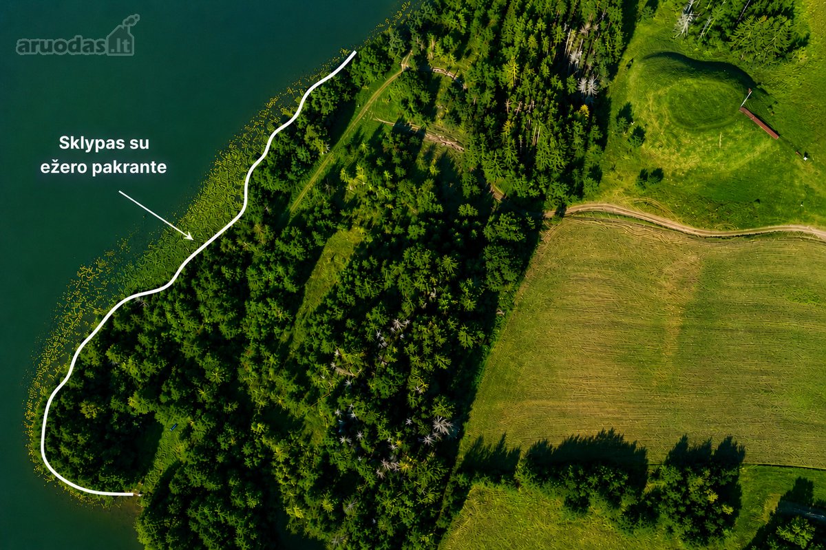Parduodamas 5,9680 Ha Žemės Ūkio Paskirties - nuotraukos Nr. 2