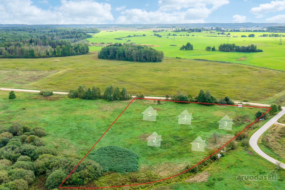 Parduodamas 1,78 ha žemės ūkio paskirties - nuotraukos Nr. 8