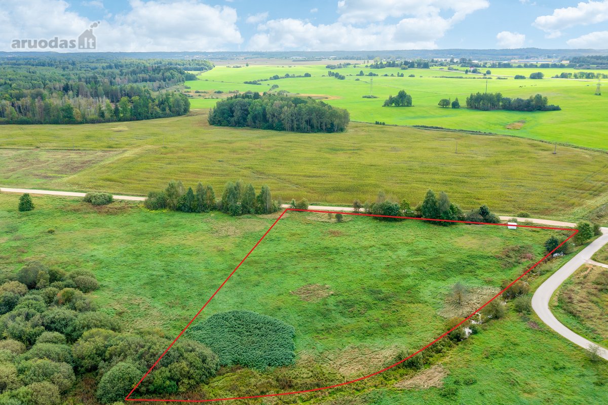 Parduodamas 1,78 ha žemės ūkio paskirties - nuotraukos Nr. 7