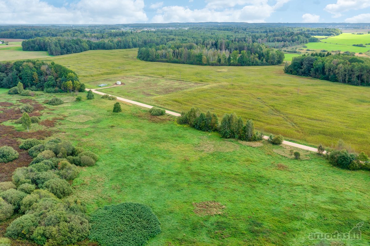 Parduodamas 1,78 ha žemės ūkio paskirties - nuotraukos Nr. 22