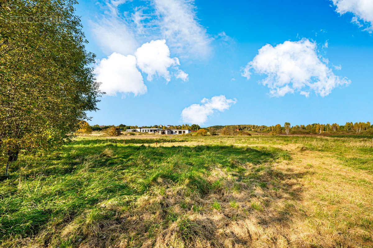 Parduodamas 1,78 ha žemės ūkio paskirties - nuotraukos Nr. 24