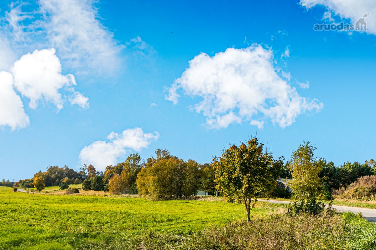 Parduodamas 1,78 ha žemės ūkio paskirties - nuotraukos Nr. 25