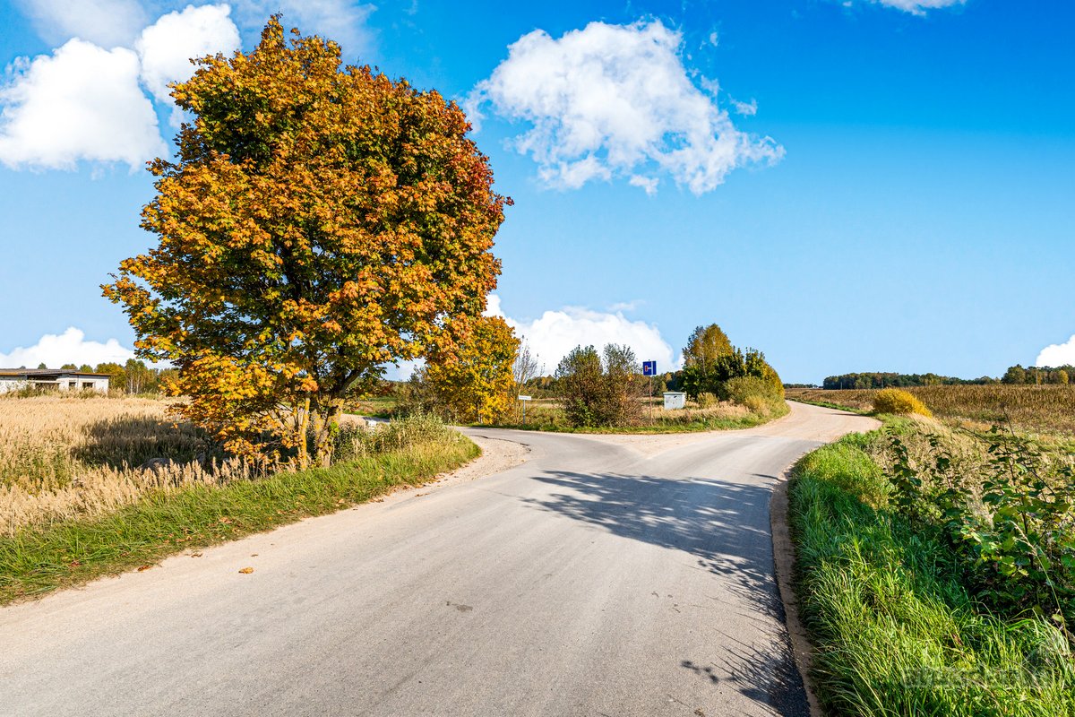 Parduodamas 1,78 ha žemės ūkio paskirties - nuotraukos Nr. 11