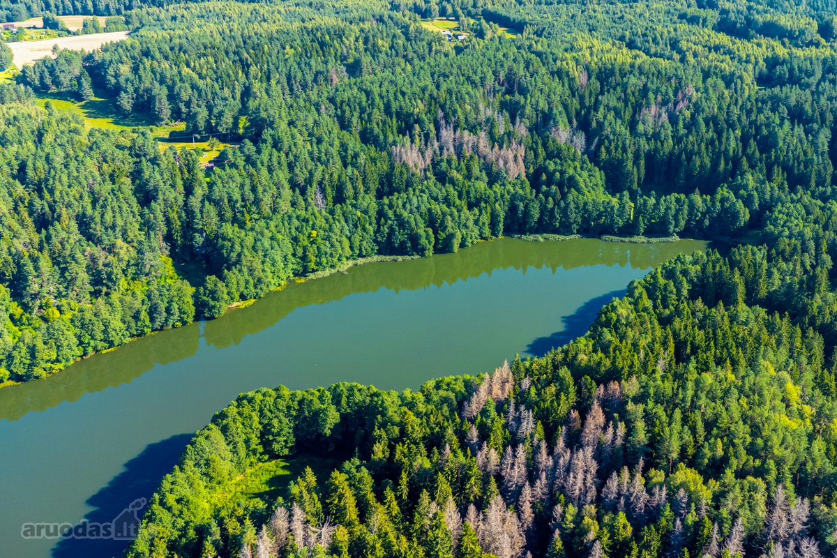 Parduodamas 0,7198 Ha Miškų Ūkio Paskirties - nuotraukos Nr. 3