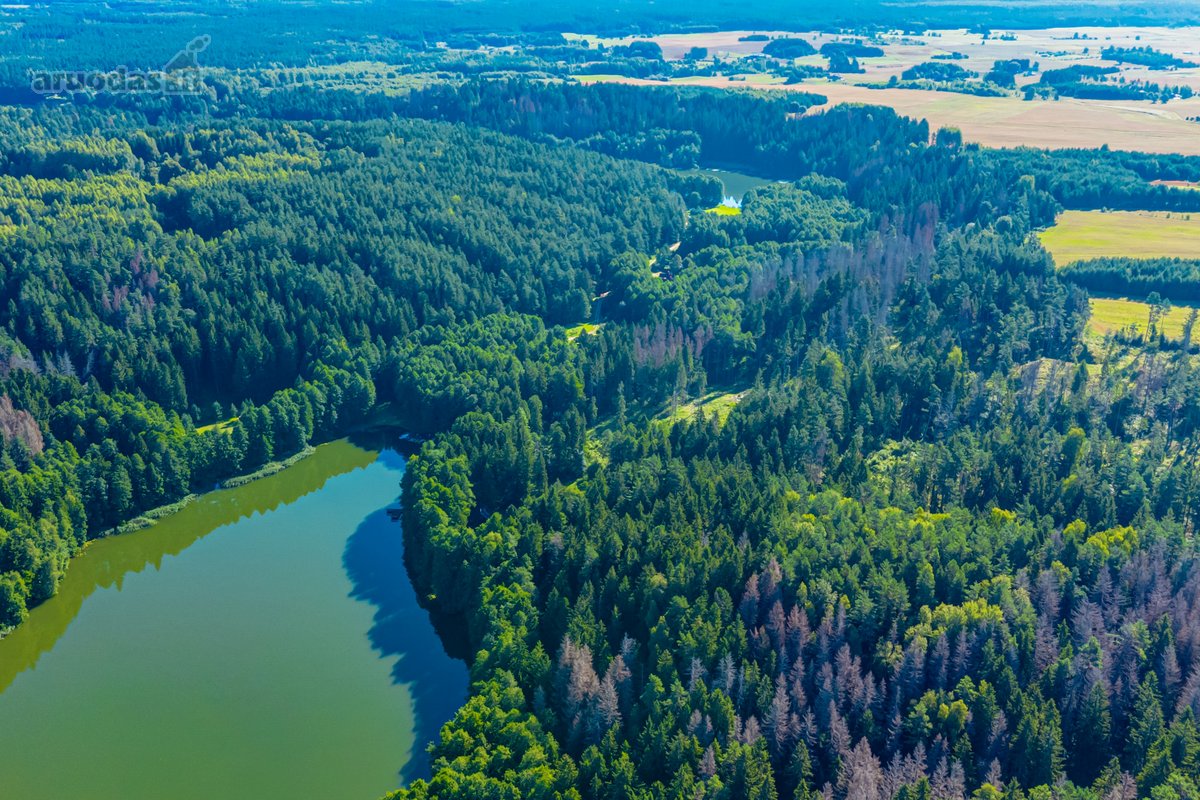Parduodamas 0,7198 Ha Miškų Ūkio Paskirties - nuotraukos Nr. 4