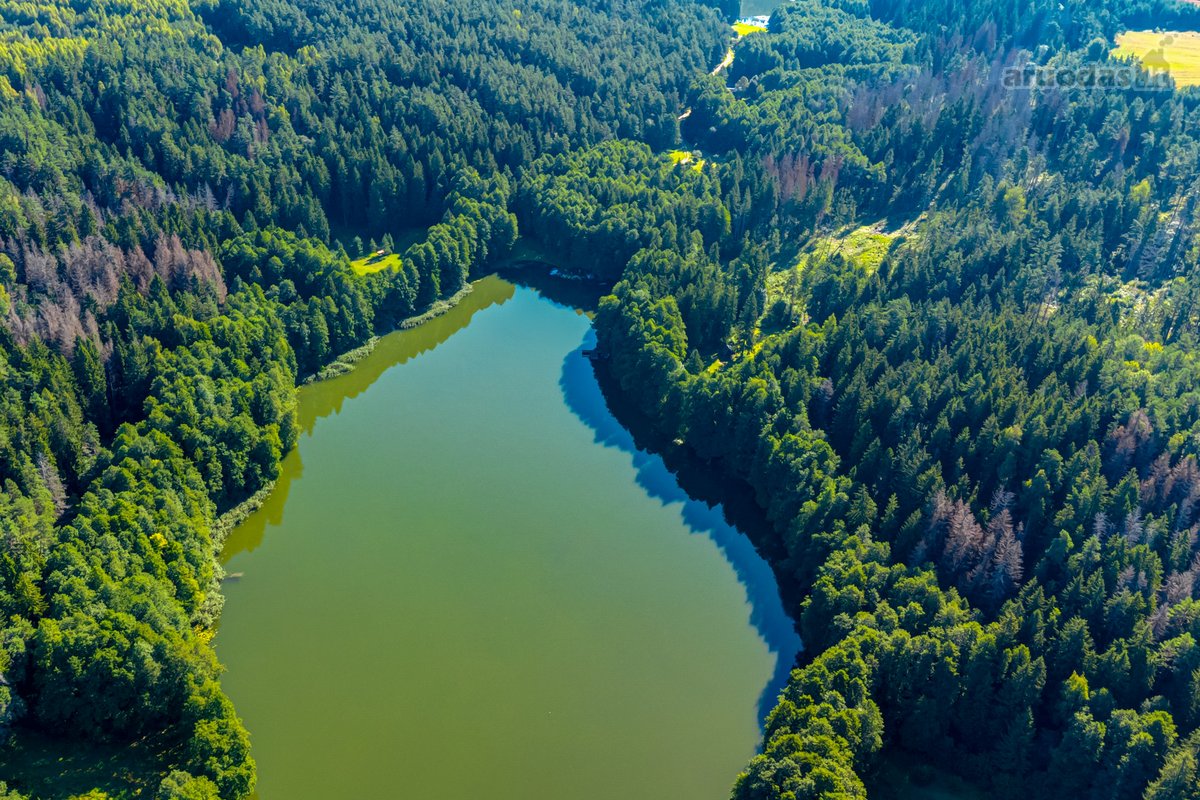 Parduodamas 0,7198 Ha Miškų Ūkio Paskirties - nuotraukos Nr. 5