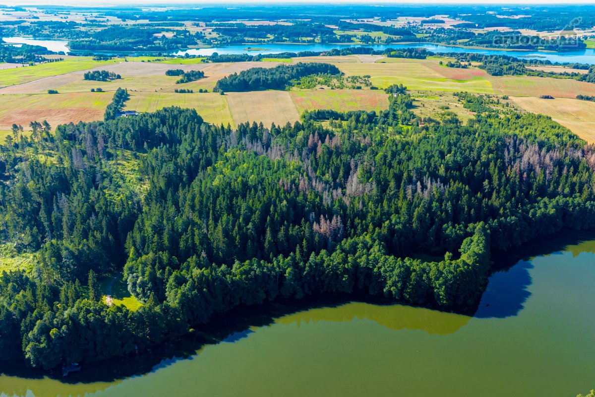 Parduodamas 0,7198 Ha Miškų Ūkio Paskirties - nuotraukos Nr. 2