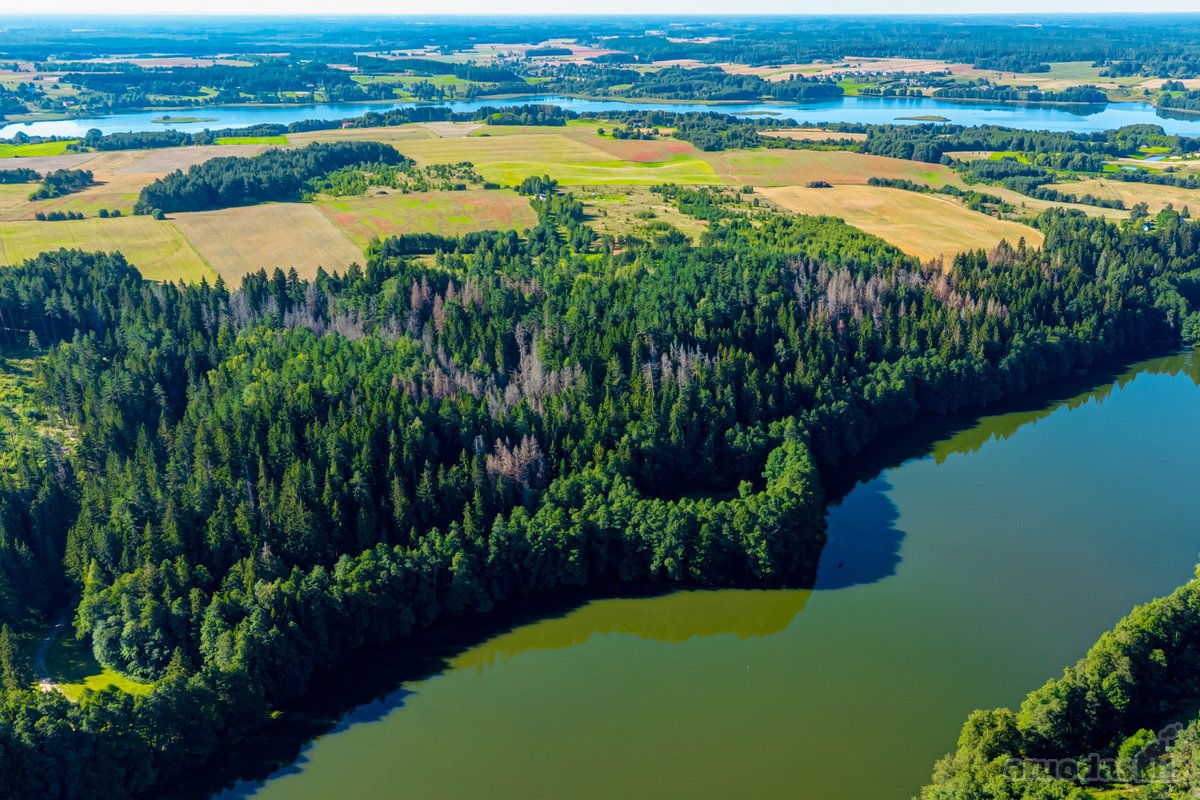 Parduodamas 0,7198 Ha Miškų Ūkio Paskirties - nuotraukos Nr. 7