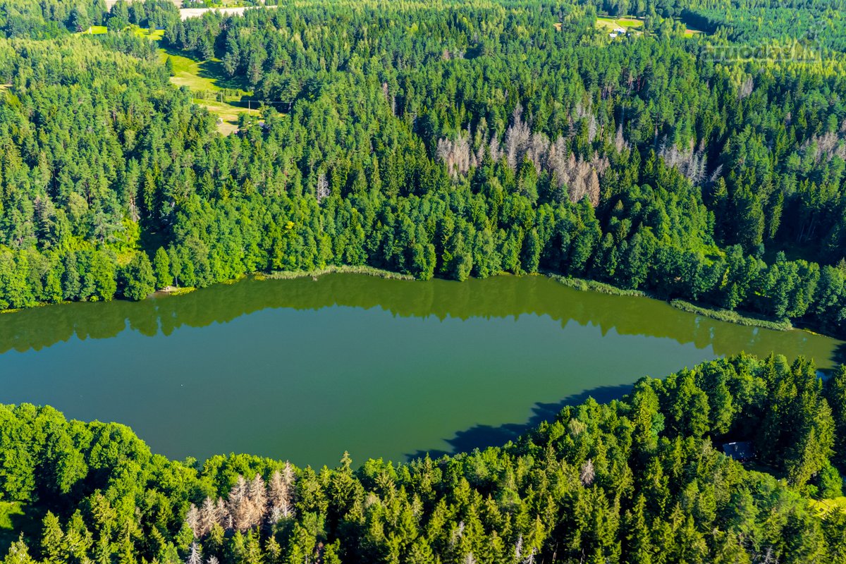 Parduodamas 0,7198 Ha Miškų Ūkio Paskirties - nuotraukos Nr. 11
