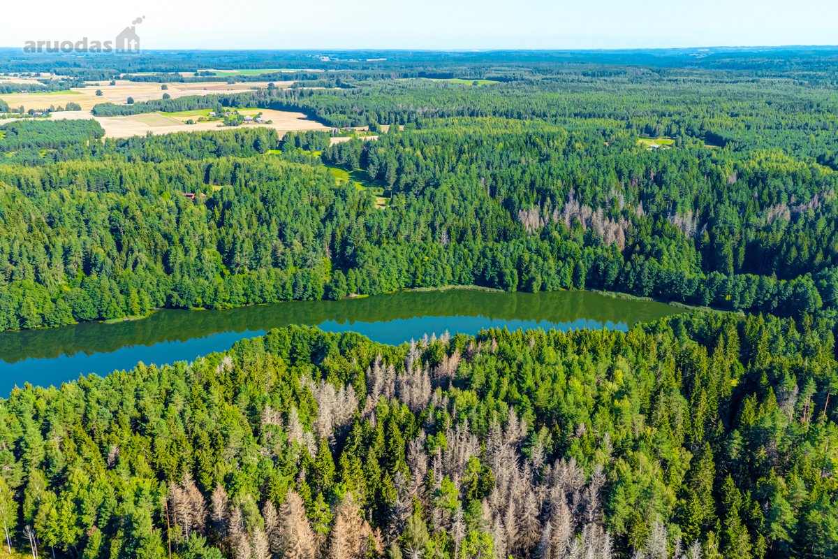 Parduodamas 0,7198 Ha Miškų Ūkio Paskirties - nuotraukos Nr. 12