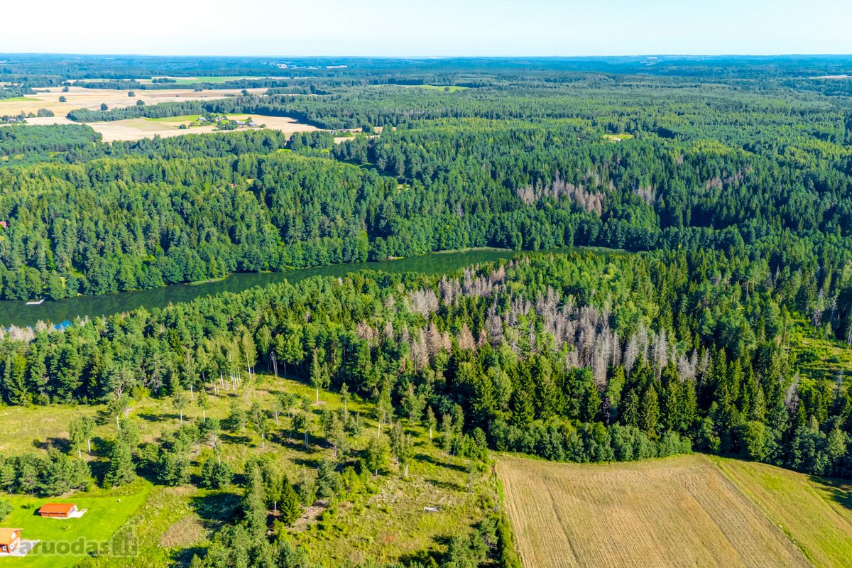 Parduodamas 0,7198 Ha Miškų Ūkio Paskirties - nuotraukos Nr. 13