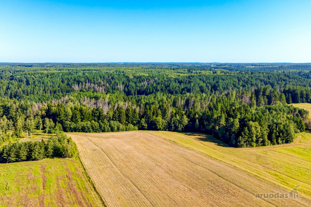 Parduodamas 0,7198 Ha Miškų Ūkio Paskirties - nuotraukos Nr. 14