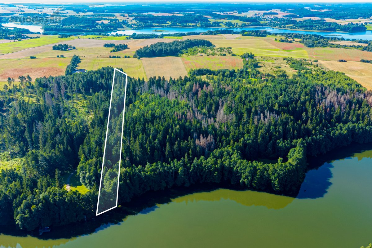 Parduodamas 0,7198 Ha Miškų Ūkio Paskirties