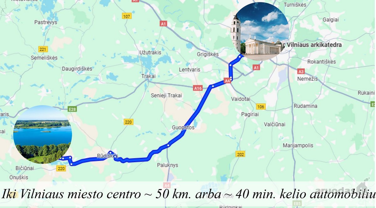 Parduodamas 0,7198 Ha Miškų Ūkio Paskirties - nuotraukos Nr. 19