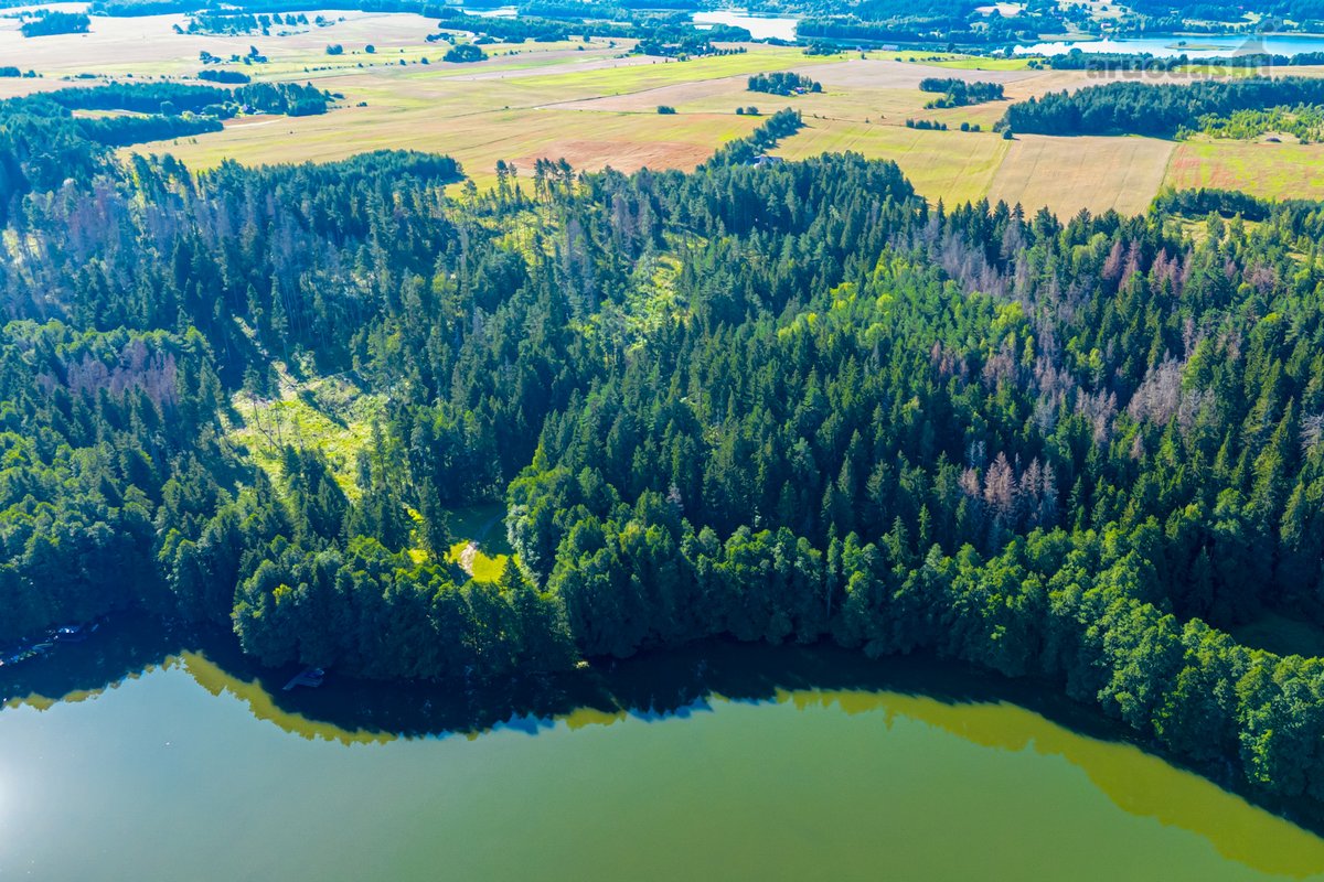 Parduodamas 0,7198 Ha Miškų Ūkio Paskirties - nuotraukos Nr. 6