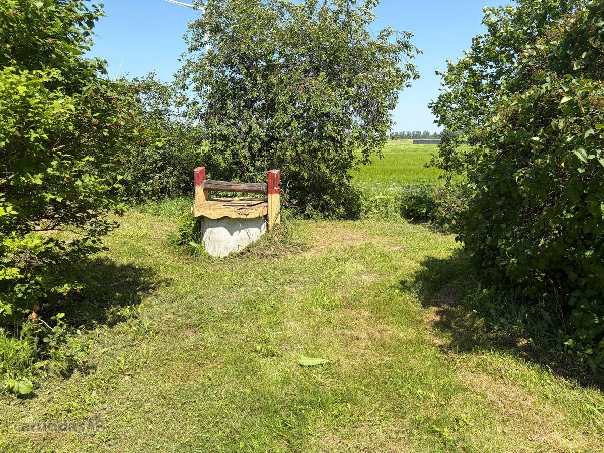Parduodama sodyba ramioje vietoje, vos 12 km - nuotraukos Nr. 13