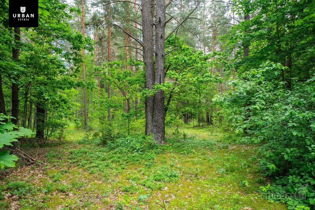 Autentiška Sodyba Jūsų Poilsiui Ar Kaimo - nuotraukos Nr. 31