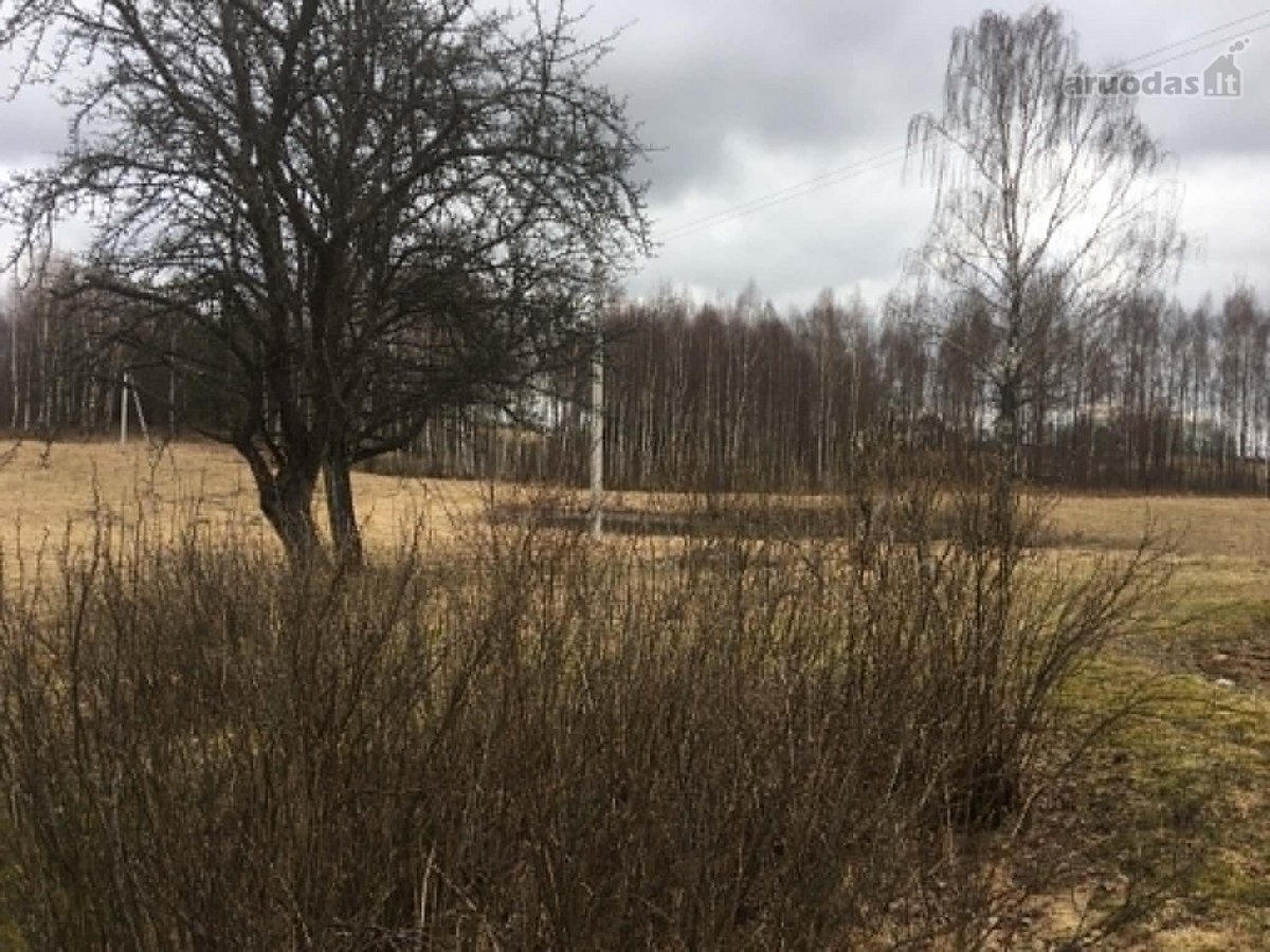 Parduodama Sodyba Su 12,57 Ha Žemės Ir - nuotraukos Nr. 6